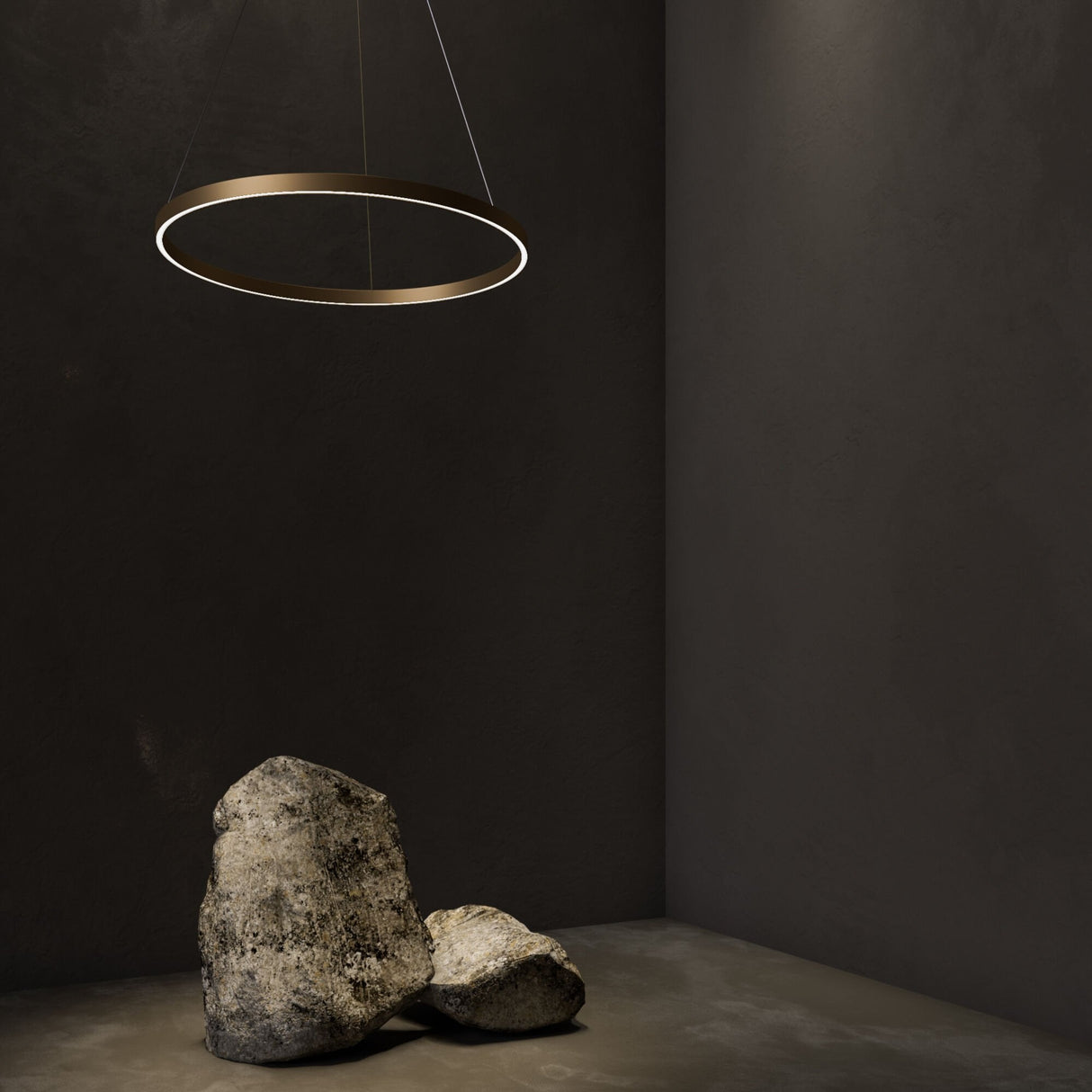 Brass Elegance Rim Pendant Light Fixture