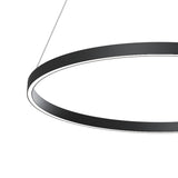 Sleek Black Rim LED Pendant Light
