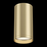 Elegant Matt Gold Focus S Ceiling Light Fixture