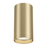 Elegant Matt Gold Focus S Ceiling Light Fixture