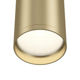 Elegant Matt Gold Focus S Ceiling Light Fixture