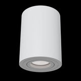 Modern Alfa White Ceiling Light Fixture