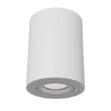 Modern Alfa White Ceiling Light Fixture