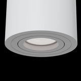 Modern Alfa White Ceiling Light Fixture