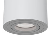 Modern Alfa White Ceiling Light Fixture