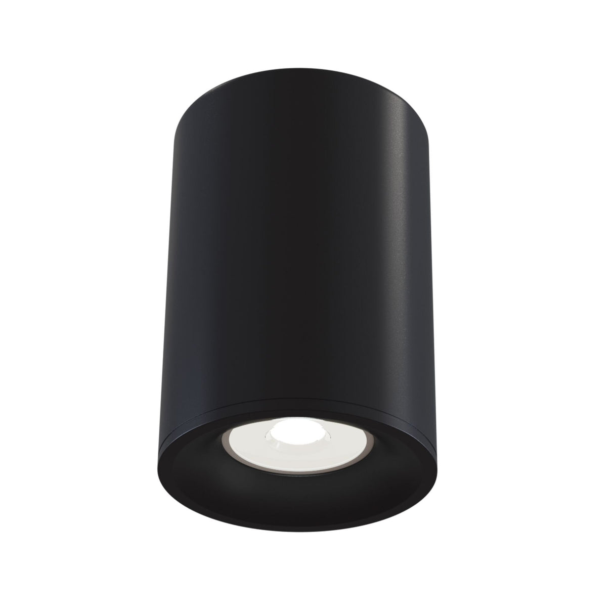 Alfa Black Ceiling Mounted Light Fixture
