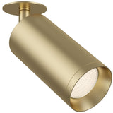 Elegant Matt Gold Adjustable Ceiling Lamp - Focus Series