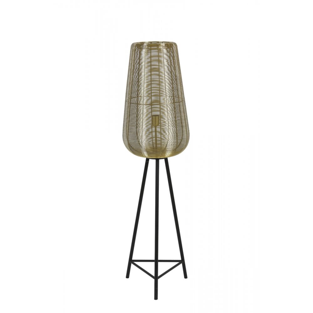 Elegant Gold and Matt Black Round Metal Floor Lamp 37x135cm
