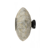 Elegance of Lavello: Antique Gold-White Round Wall Lamp 37.5x22cm