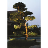 Monza Black Resin Wall & Spike Spot Light