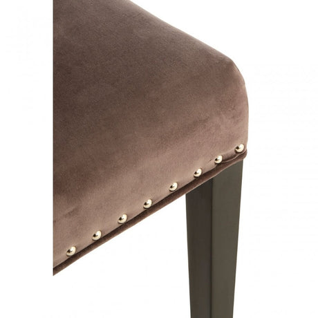 Grey Velvet with Curly Back Dining Chair, Grey