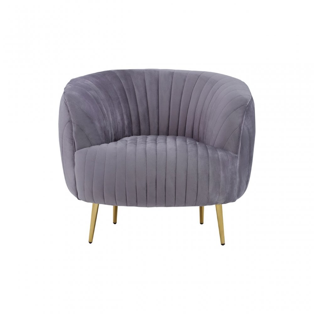 Florina Grey Velvet Chair With Gold Legs, Grey