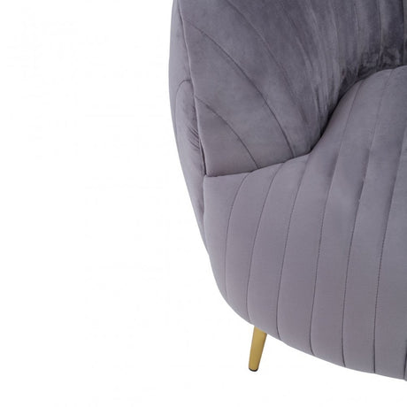 Florina Grey Velvet Chair With Gold Legs, Grey