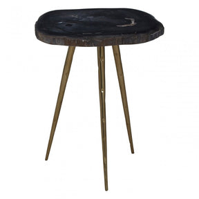 Relic Side Table with Petrified Wood Top, Brown