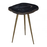 Relic Side Table with Petrified Wood Top, Brown