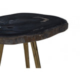 Relic Side Table with Petrified Wood Top, Brown
