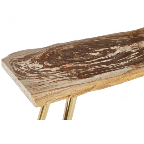 Relic Petrified Wood Console Table, Natural