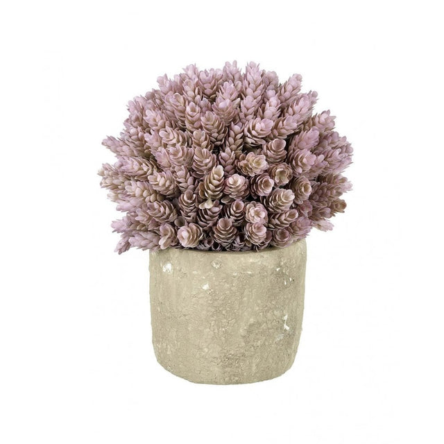 Hops Potted H270x180mm Pink