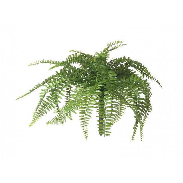 Fern Boston H260x480mm Green