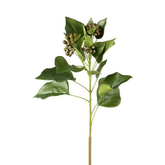 Ivy Stem With Buds H700mm Green