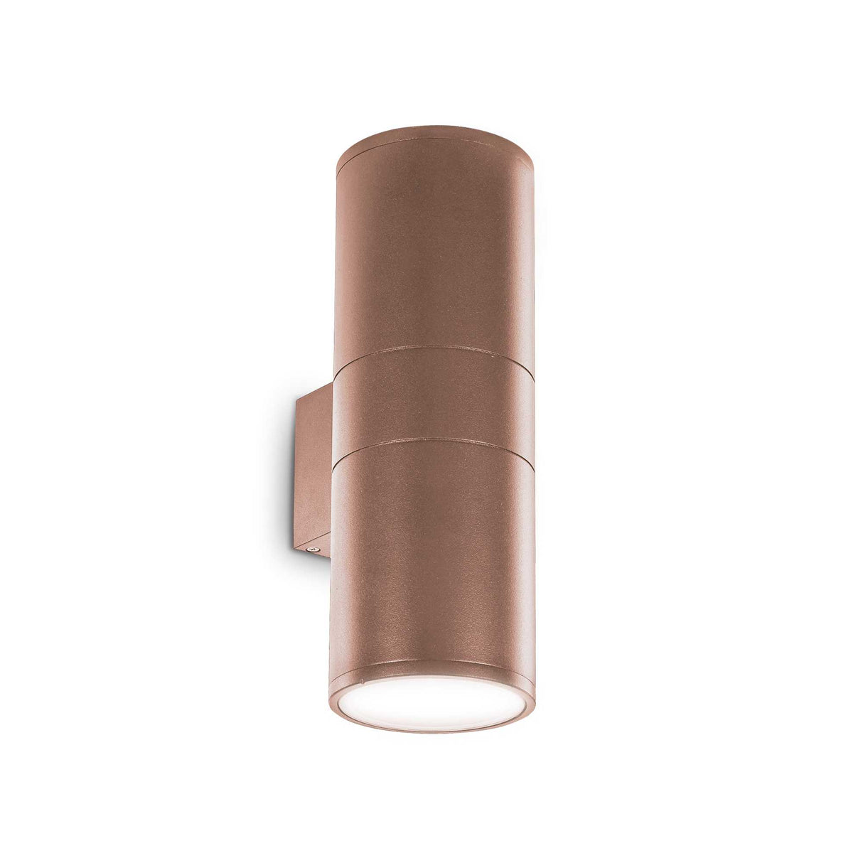 Dual-Bulb Wall Sconce in Coffee Finish