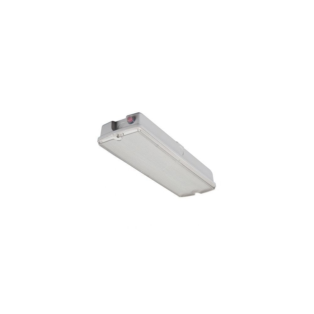 Salvus IP65 Emergency Bulkhead with Manual Test - Daylight 6.5K, 3.0W, 145 Lumens