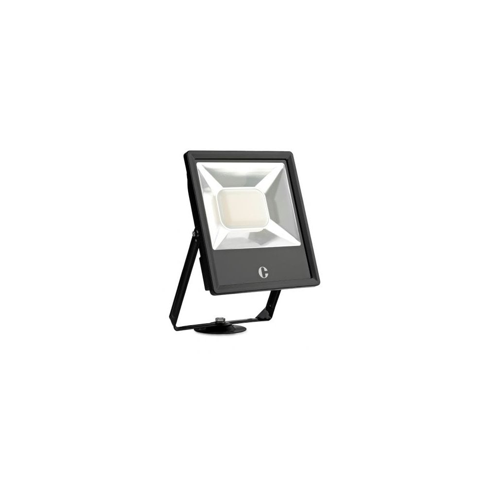 FL10 100W Adjustable Color Floodlight - Weatherproof Design