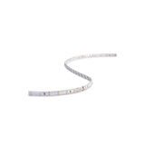 SP54 IP44 Cool White LED Strip Kit with 24V Driver
