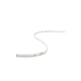LSV02 CV, Cool White (4K) IP20 LED Strip, 50M Reel, Self-Adhesive, 4.8W/m, 120° Beam Angle