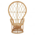 Java Natural Rattan Curved Chair