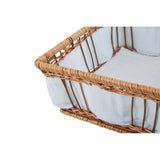 Natural Fern With Lining Baskets - Set Of 2