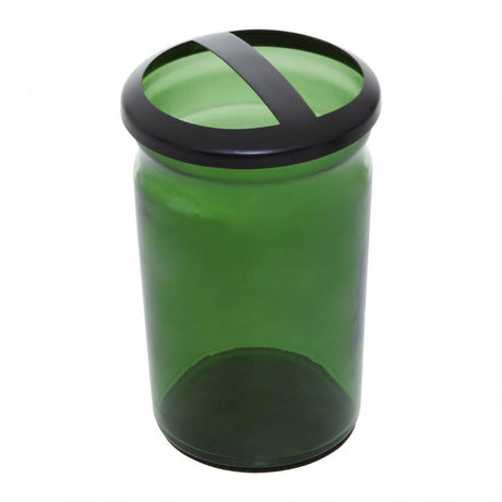 Allegra Kiara Glass Toothbrush Holder