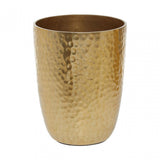 Allegra Gold Finish Tumbler - 300Ml