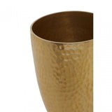 Allegra Gold Finish Tumbler - 300Ml