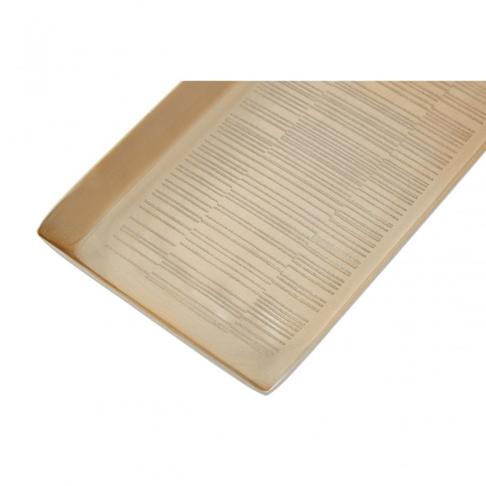 Allegra Champagne Finish Tray