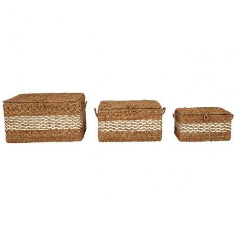Set Of 3 Rectangular Seagrass Baskets