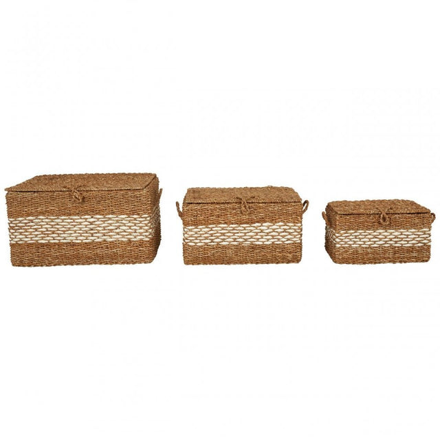 Set Of 3 Rectangular Seagrass Baskets
