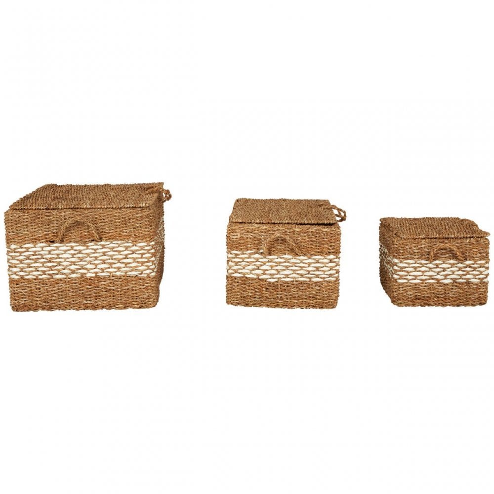 Set Of 3 Rectangular Seagrass Baskets