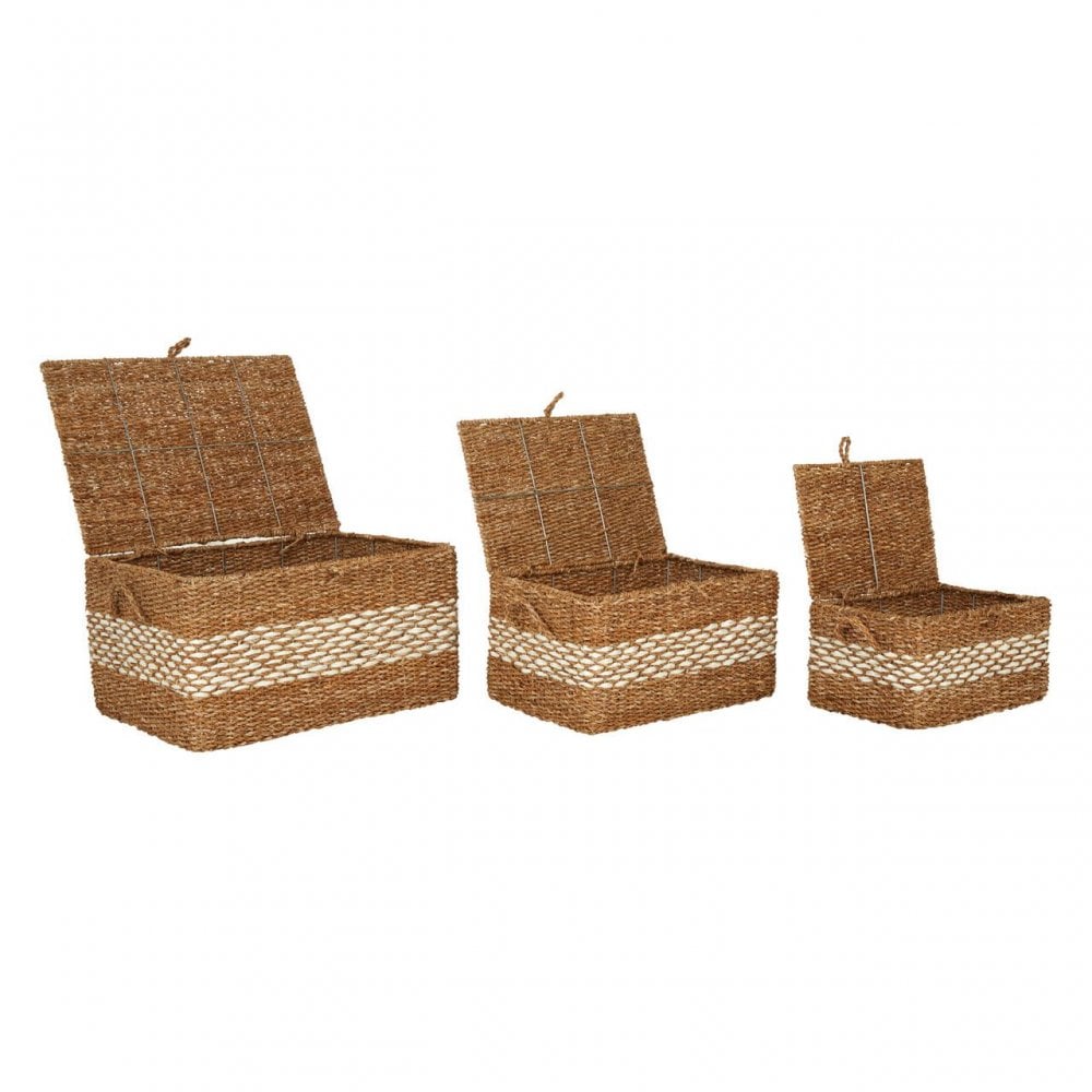 Set Of 3 Rectangular Seagrass Baskets