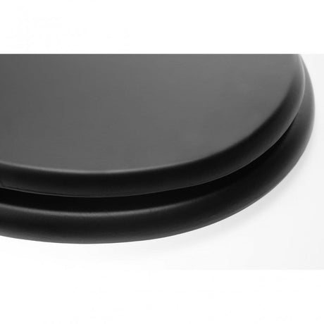 Matt Black Toilet Seat