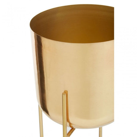 Aliza Large Floor Standing Planter