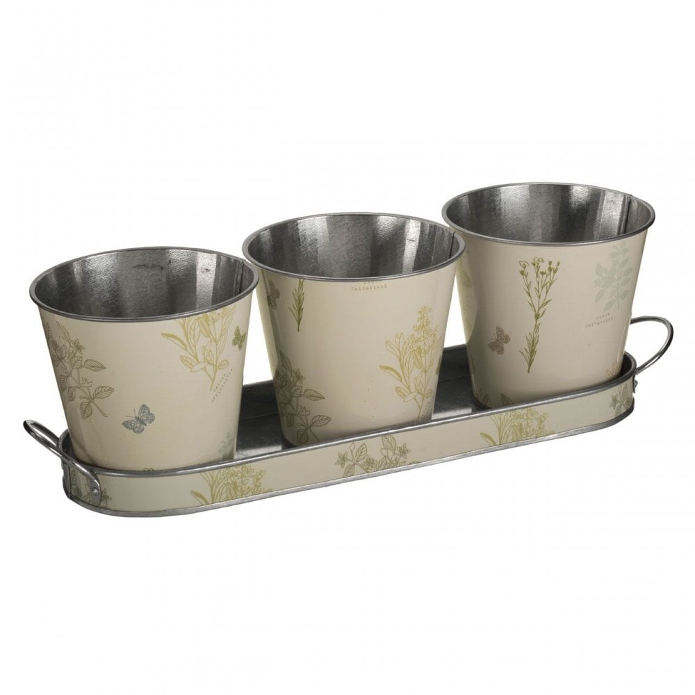 Jardin Pots On Oblong Tray - Set Of 3