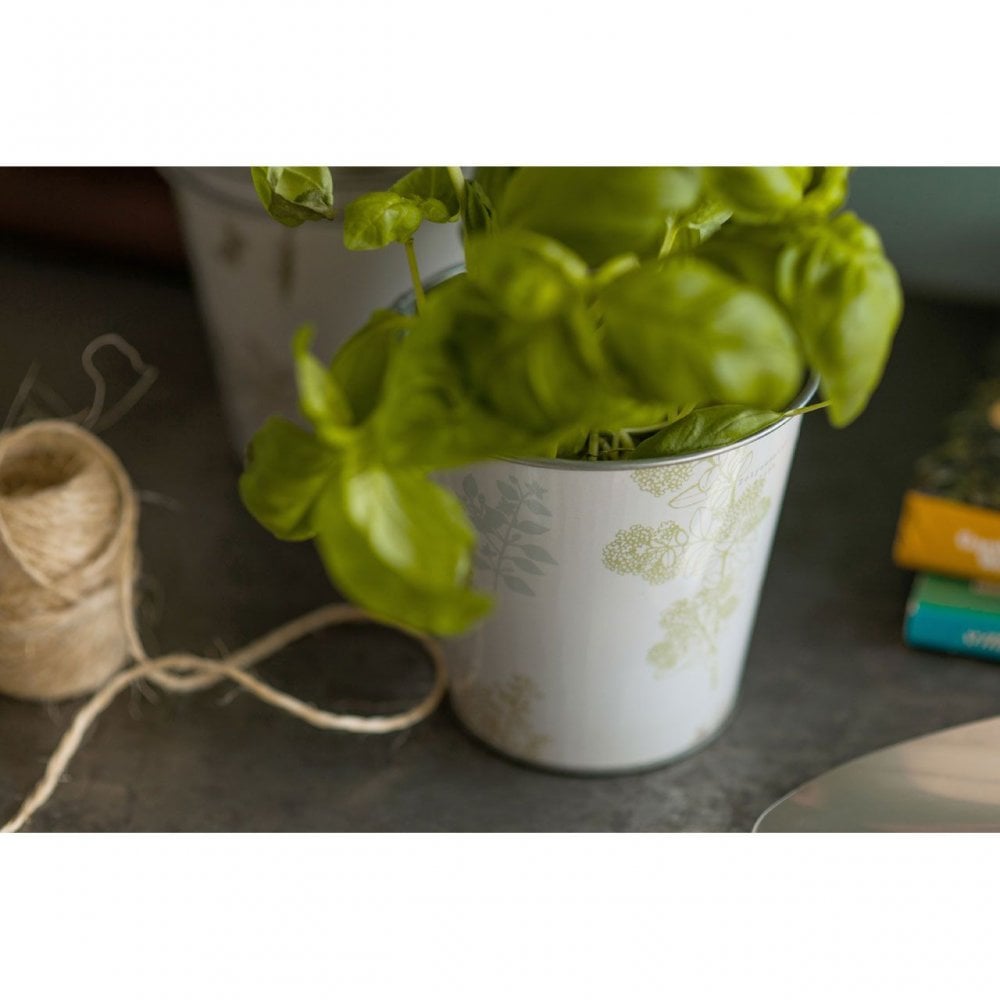 Jardin Pots On Oblong Tray - Set Of 3