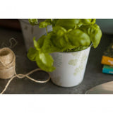 Jardin Pots On Oblong Tray - Set Of 3