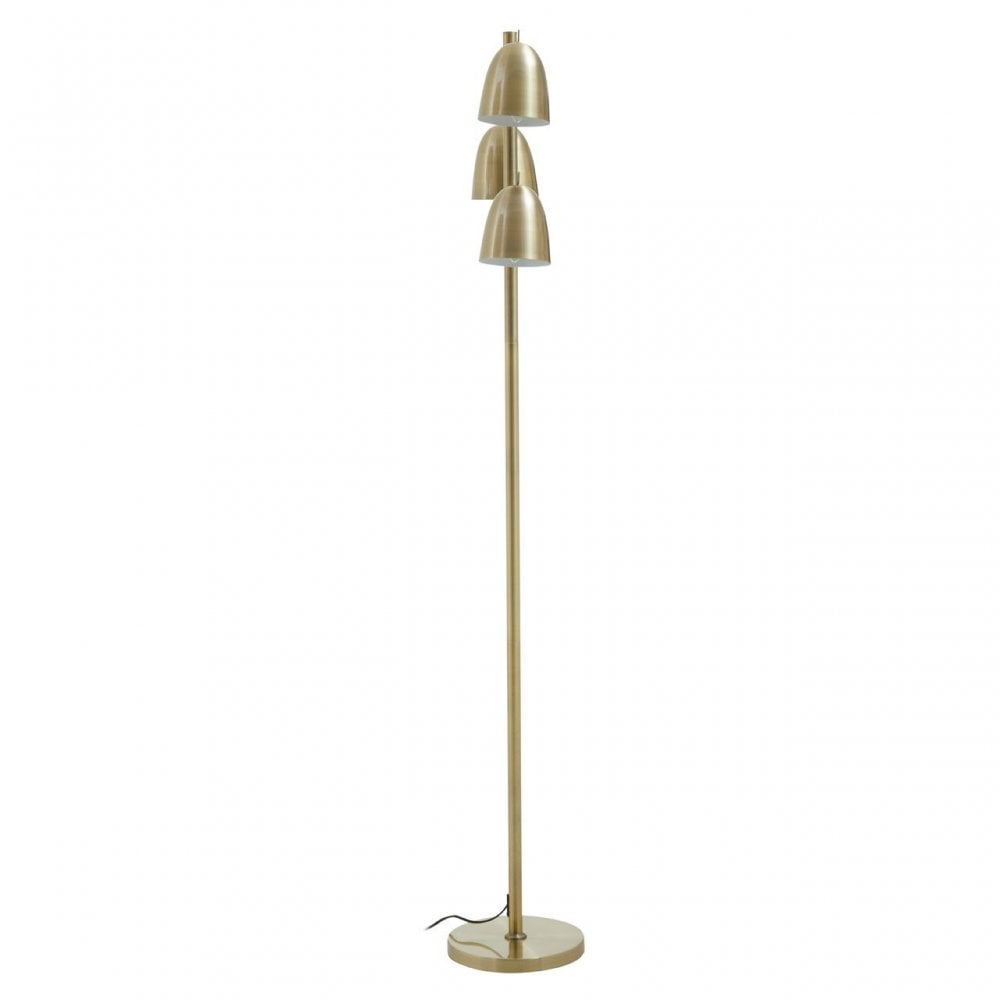Newton Brass Finish Floor Lamp