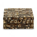 Branna Large Natural Shell Detail Box