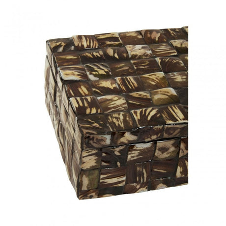 Branna Large Natural Shell Detail Box