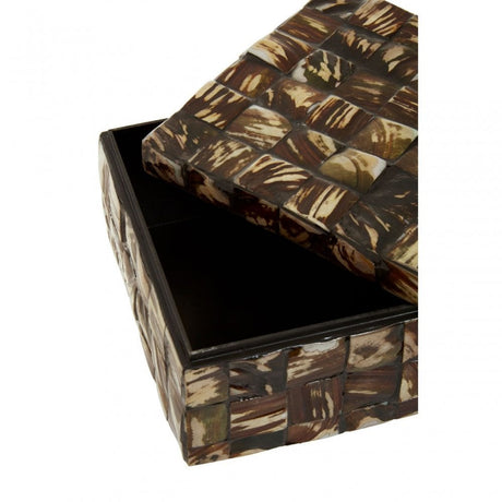 Branna Large Natural Shell Detail Box