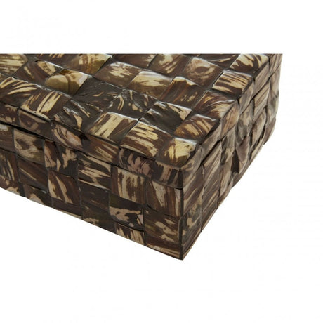Branna Large Natural Shell Detail Box