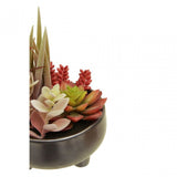 Fiori Mixed Succulents In Grey Ceramic Pot